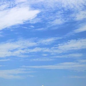 Meet your Posher, Kait